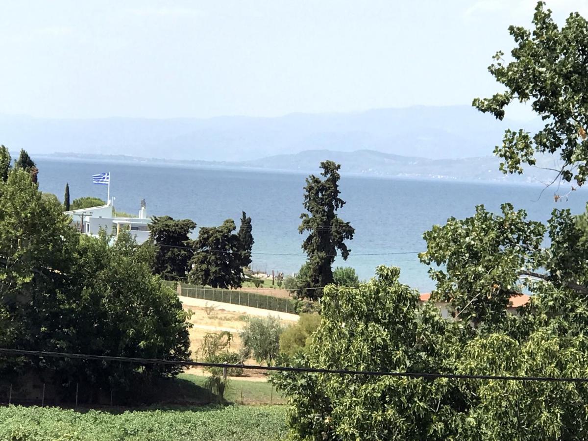 Studio Kalypso Аркітса Екстер'єр фото